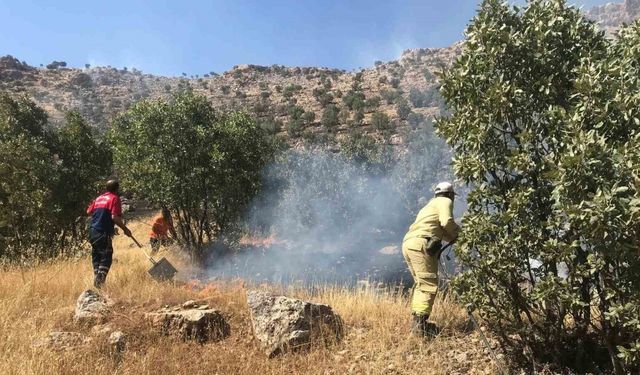 Ormanlık alanda çıkan yangın söndürüldü