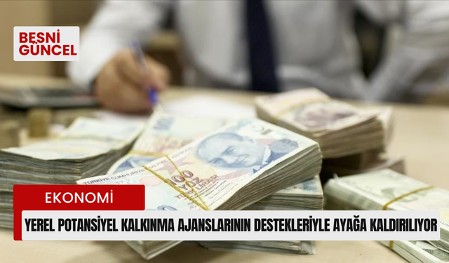 Yerel potansiyel kalkınma ajanslarının destekleriyle ayağa kaldırılıyor