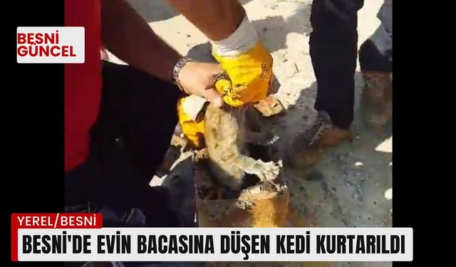 Besni'de evin bacasına düşen kedi kurtarıldı