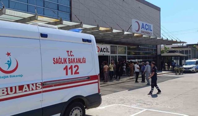 Şanlıurfa’da dehşet: Eşini ve çalışanını öldürdü