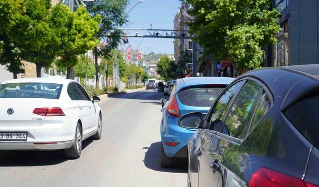 Şırnak’ta her 15 kişiye bir araç düşüyor