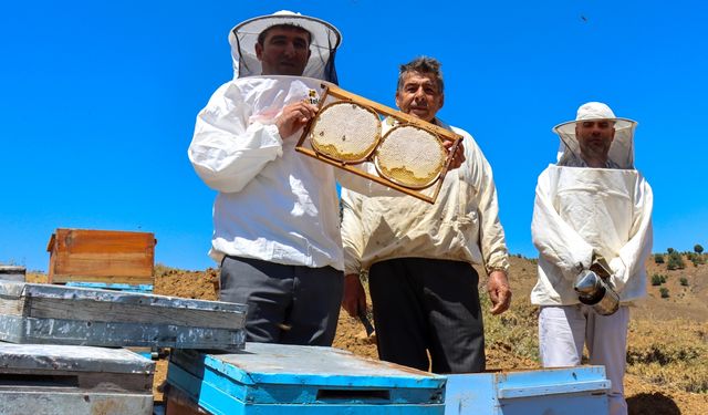 Tescilli "geven" balında yüksek verim üreticiyi sevindirdi