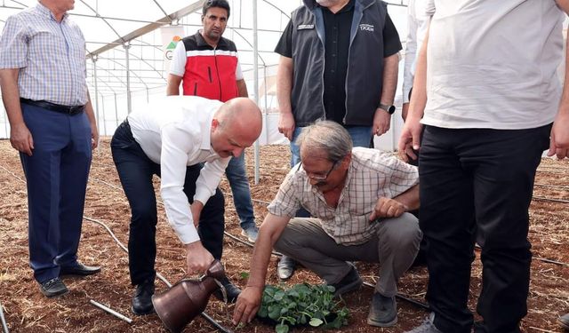  Vali Varol’dan Adıyamanlı çiftçilere destek  - Videolu Haber