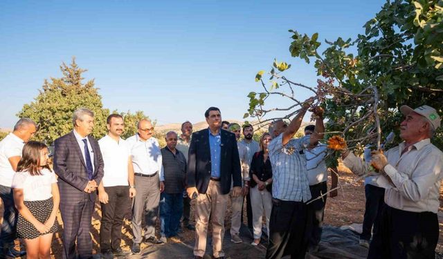 Yılmaz’dan Fıstık Mitingi’ne davet