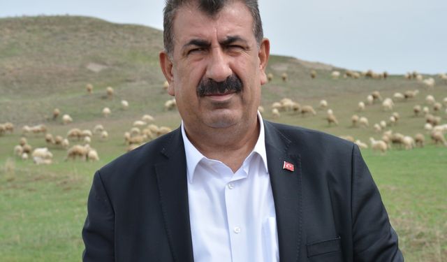 Başkan Çelik: Çobanımıza yapılan şiddet kabul edilemez