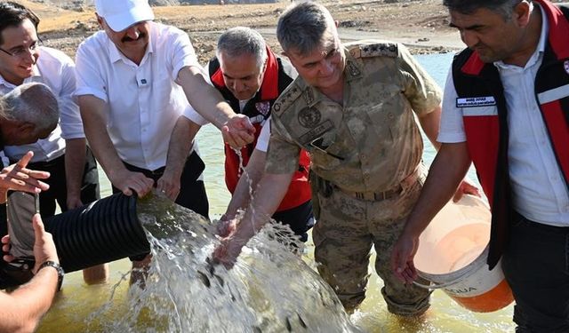 Baraj göllerine 2 milyon yavru sazan balığı bırakıldı