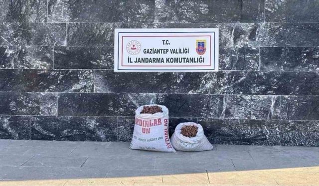 Fıstık hırsızı 6 şahsa jandarmadan suçüstü