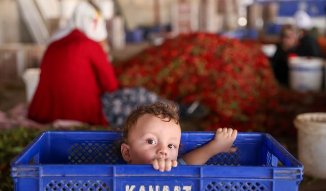 Pul biberi depremzede işçilerin ellerinde lezzet buluyor