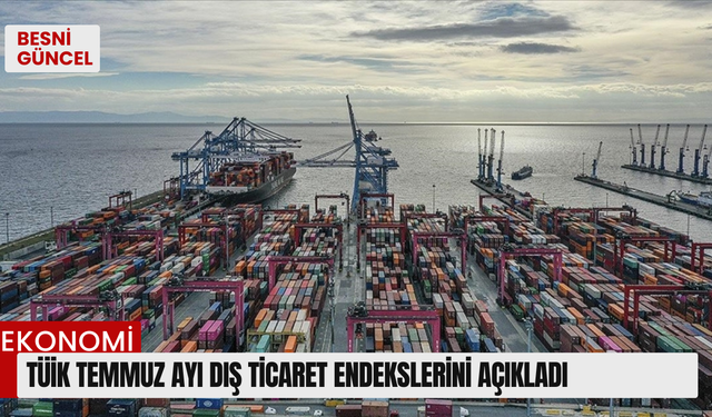 TÜİK temmuz ayı dış ticaret endekslerini açıkladı