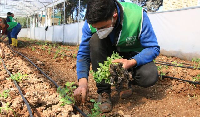 İHH öşür çalışmaları ile on binlerce ihtiyaç sahibine ulaştı