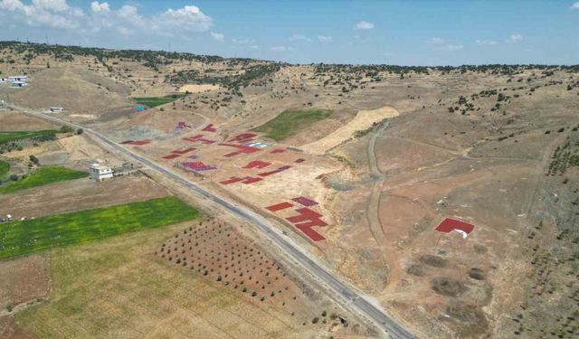 Biber kurutma mesaisi başladı, sınırın sıfır noktası kırmızıya büründü