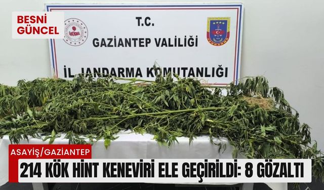 214 kök Hint keneviri ele geçirildi: 8 gözaltı