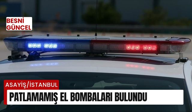 Patlamamış el bombaları bulundu