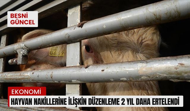 Hayvan nakillerine ilişkin düzenleme 2 yıl daha ertelendi