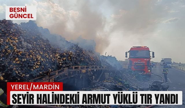 Seyir halindeki armut yüklü tır yandı