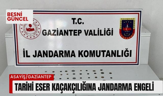 Tarihi eser kaçakçılığına jandarma engeli