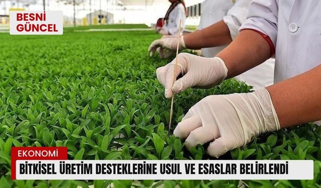 Bitkisel üretim desteklerine usul ve esaslar belirlendi