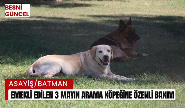 Emekli edilen 3 mayın arama köpeğine özenli bakım