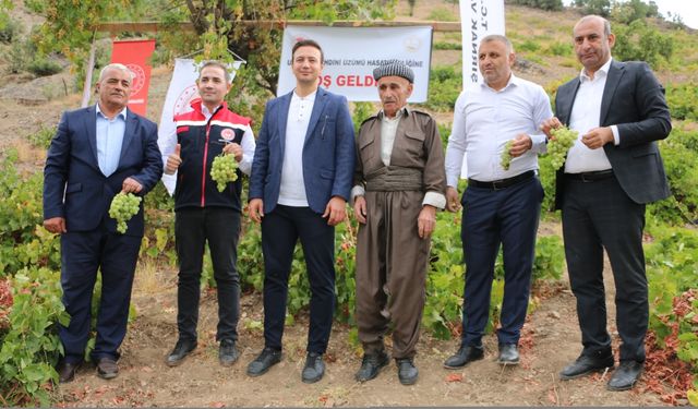 Şırnak'ta "Behdini Üzümü Hasat Şenliği" düzenlendi