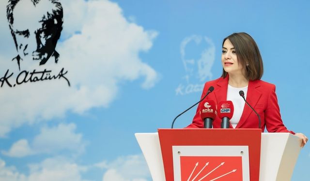 CHP'li Gamze Taşcıer: Bütçe’de yük yine 'Yurttaşbank’a