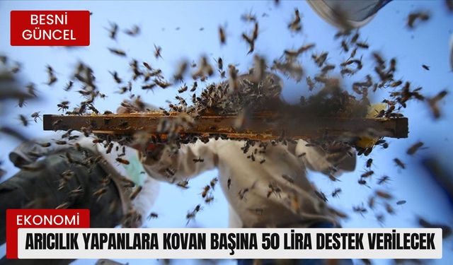 Arıcılık yapanlara kovan başına 50 lira destek verilecek