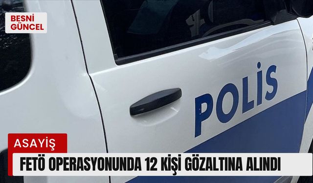 FETÖ operasyonunda 12 kişi gözaltına alındı