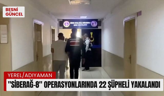 "Siberağ-8" operasyonlarında 22 şüpheli yakalandı