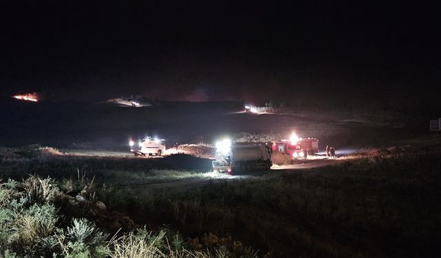 Siirt'te Kezer Çayı bölgesinde çıkan anız yangını söndürüldü