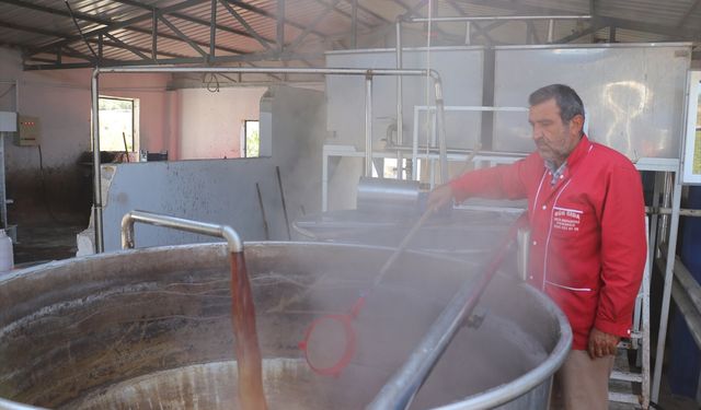 Kilis'te pekmez üretimi sürüyor