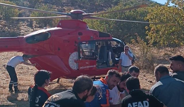 Ambulans helikopter, ağaçtan düşen kişi için havalandı