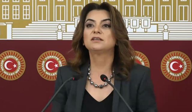 Gülistan Kılıç Koçyiğit’ten Yenidoğan Davası eleştirisi