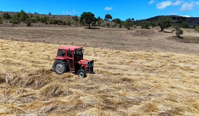 Ordu'da 31 bin dekar atıl arazi üretime kazandırıldı