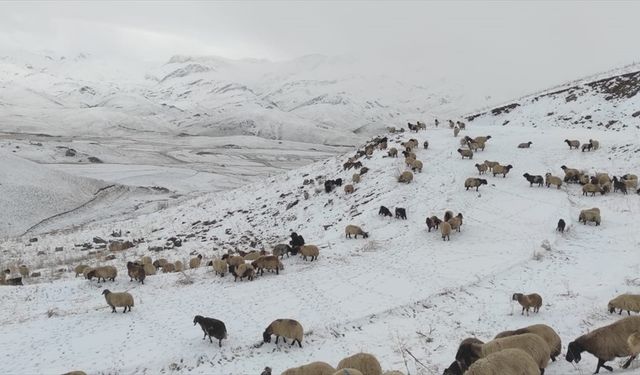 Şırnak'ta Faraşin Yaylası'nda kar yağışı etkili oldu