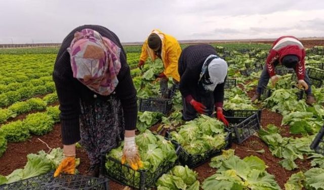 Adıyaman Sulama Birliği'nden 'Tarım Kart' uygulaması başladı