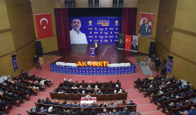 "AK Parti Teşkilatları İl Delegeleri Ortak Akıl Toplantısı"