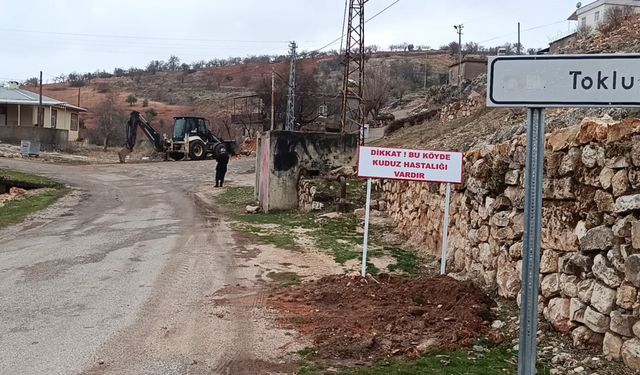 Çocuğu ısıran köpek kuduz çıktı, köy karantinaya alındı