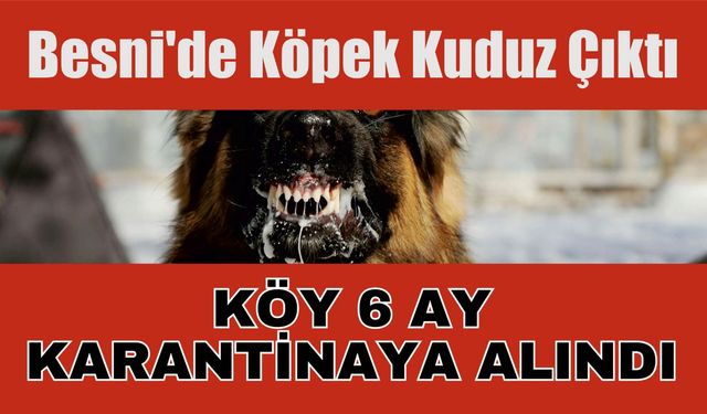 Besni’de Köpek Kuduz Çıktı Köy Karantinaya Alındı