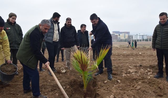 Milletvekili Nasıroğlu fidan dikim etkinliğine katıldı