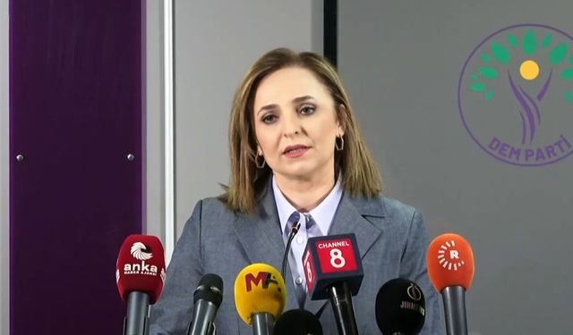 Doğan: 'Silahlar bırakılacak mı, ne umuluyor?'