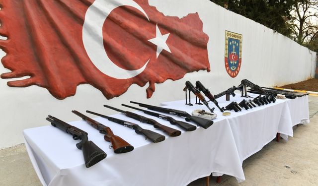 Viranşehir'de silah kaçakçılığı; 22 zanlı yakalandı