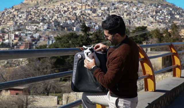 Enkazdan çıkararak sahiplendiği kedi yoldaşı oldu