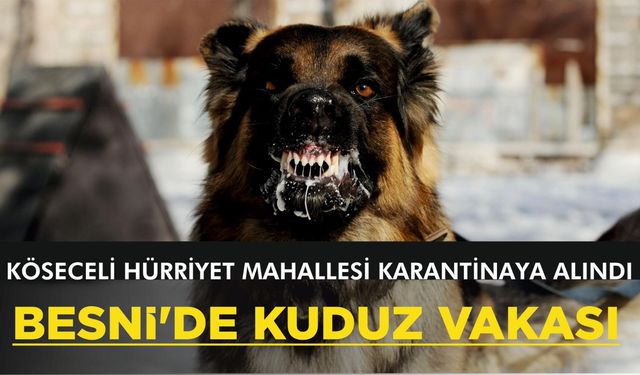 Besni'de Kuduz Vakası Bir Mahalle Karantinaya Alındı