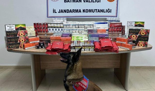 Batman'da kaçakçılık operasyonunda 1 şüpheli yakalandı