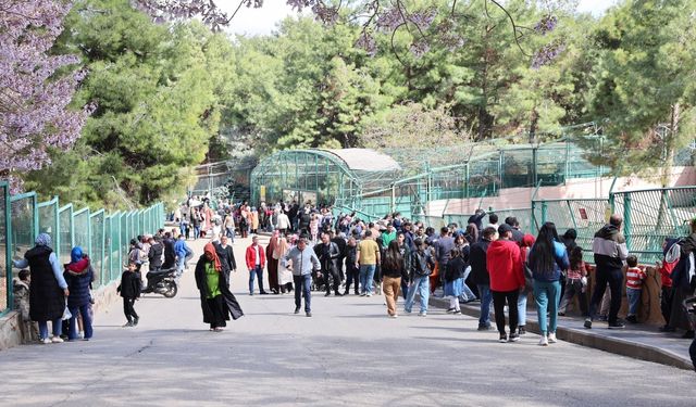 Gaziantep'te "Afrika Savanı" ve "Yırtıcı Adası" projesi