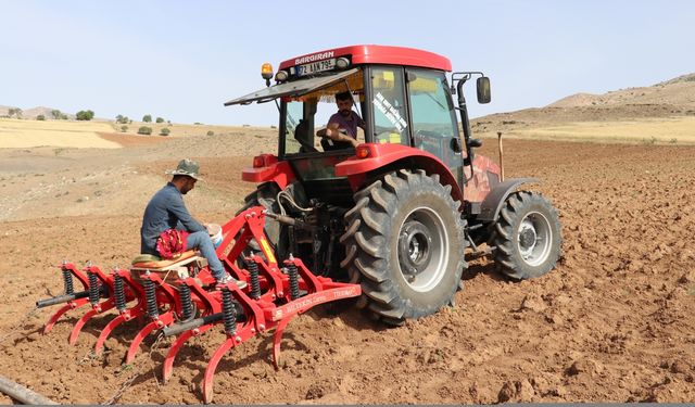 Kavun ve karpuz tohumları toprakla buluşturuluyor