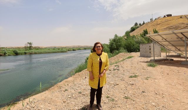 Karkamış'a kuş gözlem ve fotoğraf terasları inşa edilecek