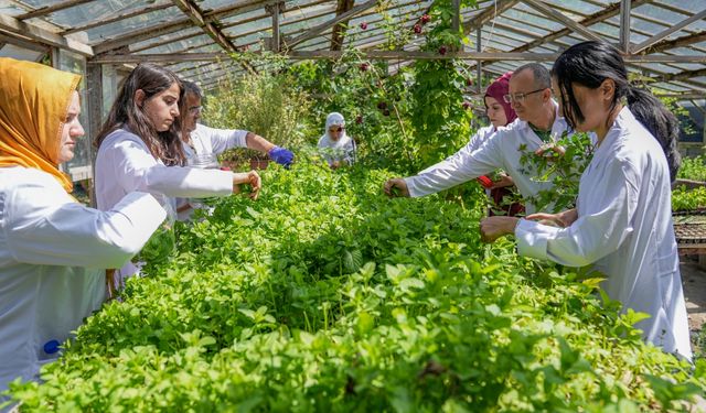 Kadınlar ürettikleri sabunlarla hikayelerini de duyuracak