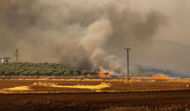 Buğday ekili tarlada yangına müdahele ediliyor