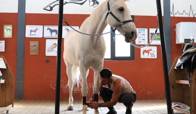 Hobi olarak biniciliğe başlayan doktor lisanslı sporcu oldu