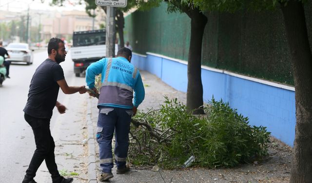 Gaziantep'te kuvvetli rüzgar etkili oldu